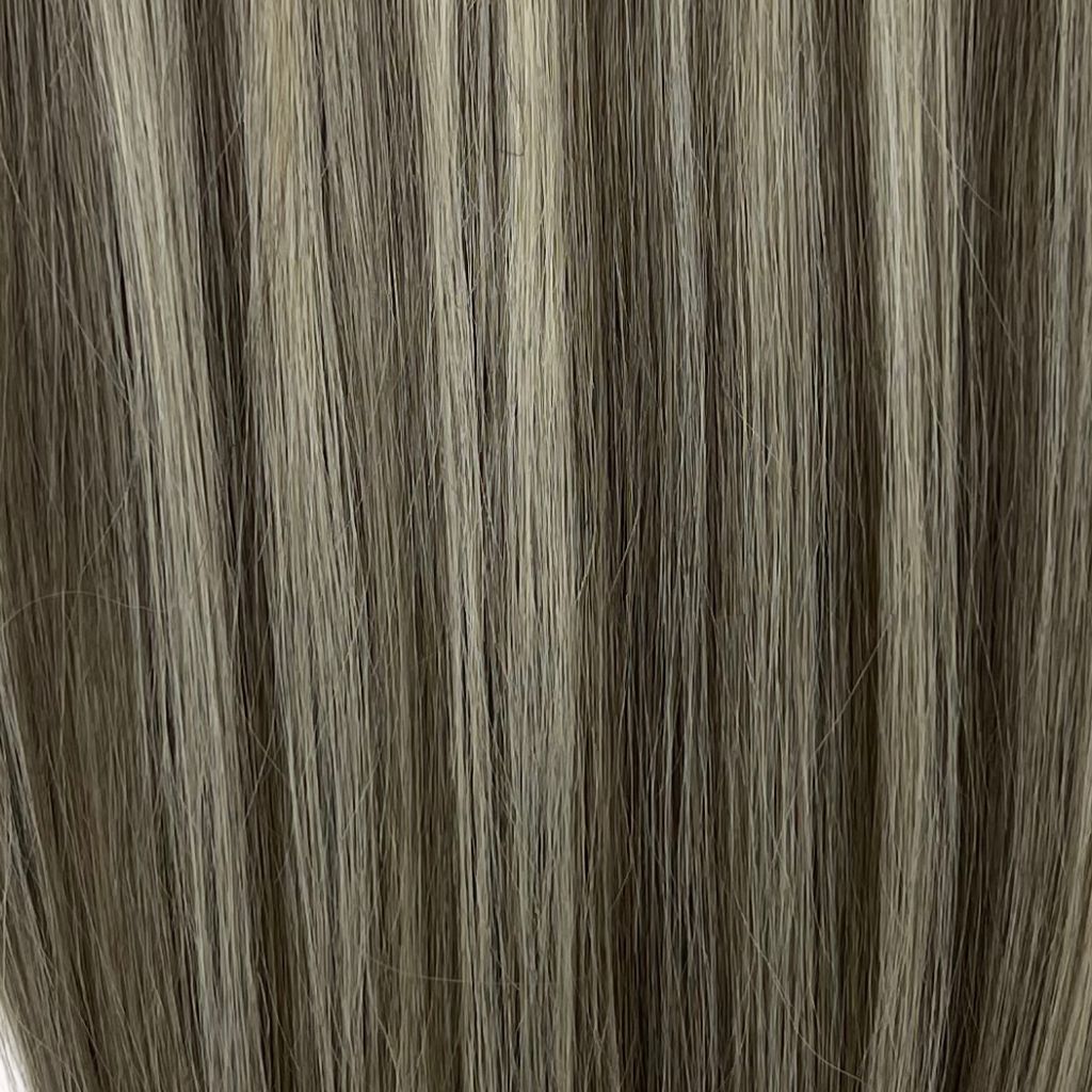 Färgkarta bild - ash brown to ash brown with highlights -T