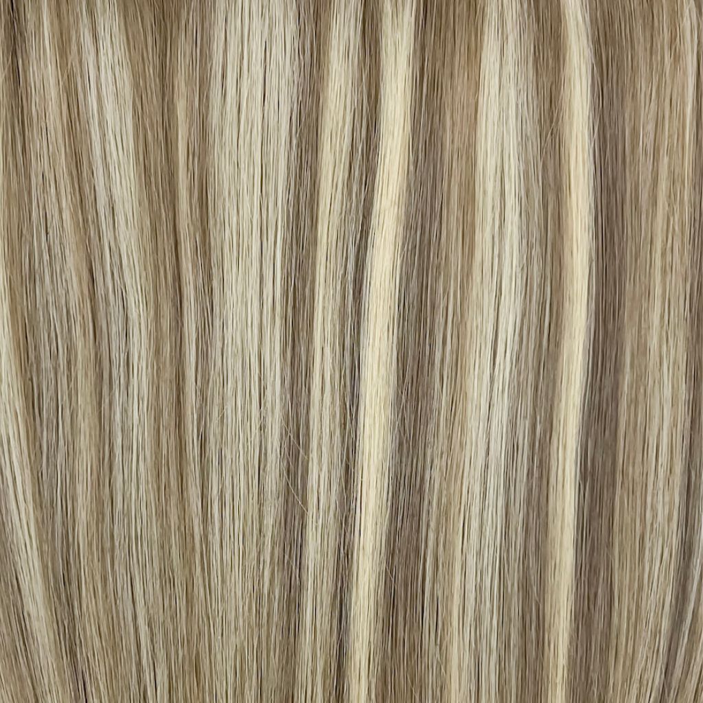 Färgkarta bild - neutral blonde with blonde highlights 