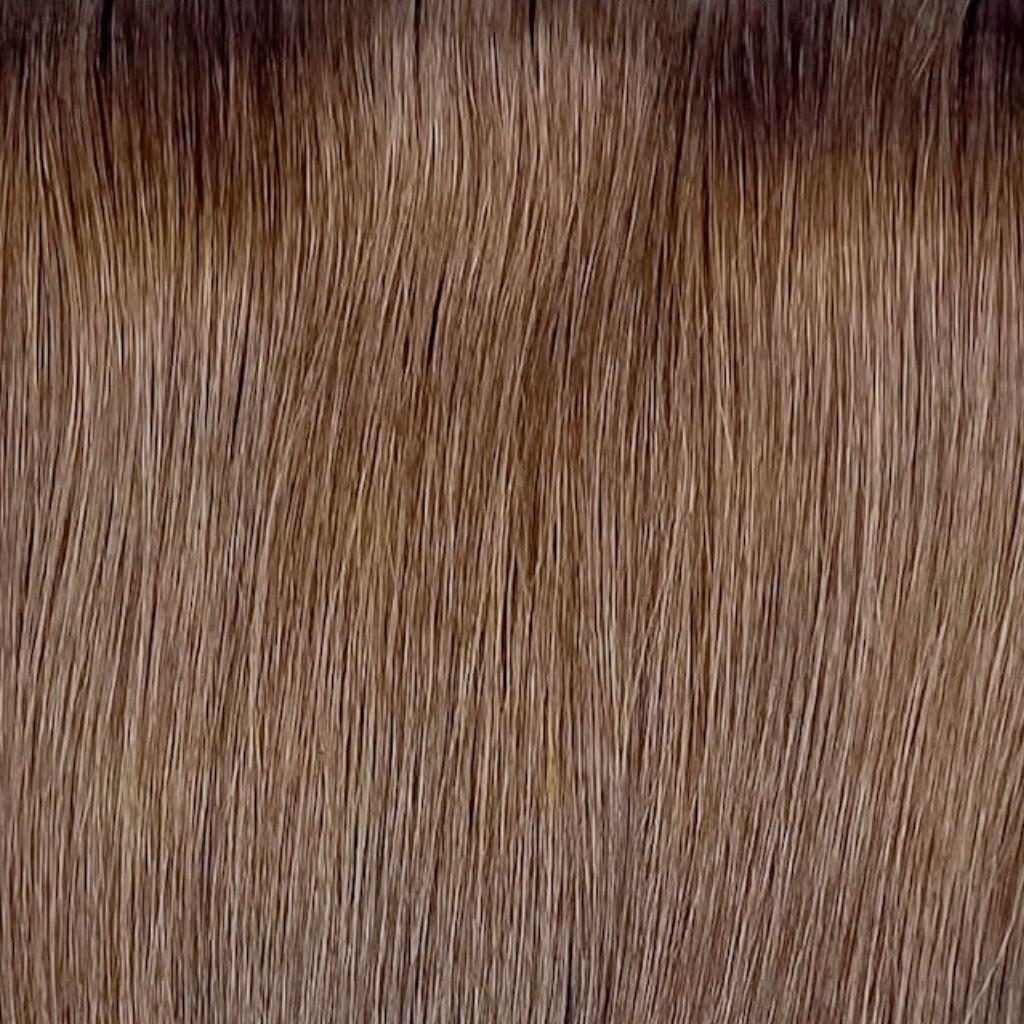 Halo extensions - Brown